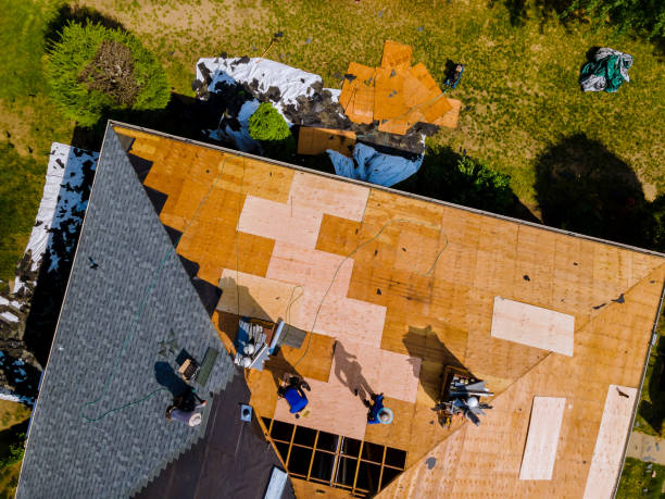 Quick and Trustworthy Emergency Roof Repair Services in Tallahassee, FL