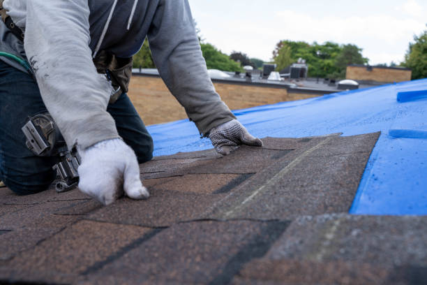 Roof Gutter Cleaning in Tallahassee, FL